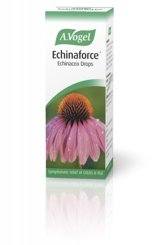 Echinaforce Echinacea Drops, 100 ml - A Vogel - Natures Fix