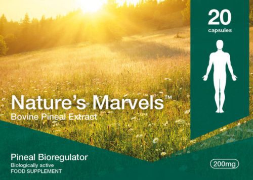Pineal Bioregulator (Endoluten™ Pineal peptide) - 20 Capsules - Nature's Marvels