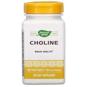 Choline 500 mg, 100 Vegan Tablets - Natures Way