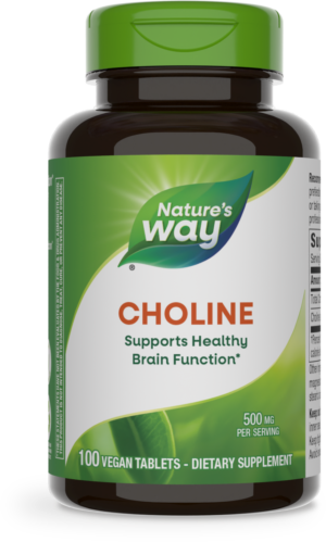 Choline 500 mg, 100 Vegan Tablets - Natures Way