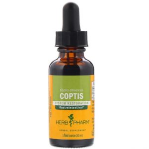 Coptis 1 fl oz - Herb Pharm