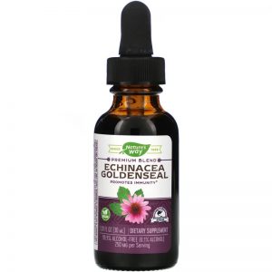 Echinacea Goldenseal, 99.9% Alcohol Free, 30 ml - Nature's Way