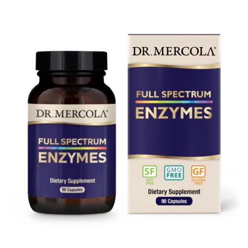 Dr Mercola Digestive Enzymes