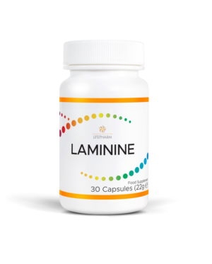 Laminine (30 Capsules) - LifePharm