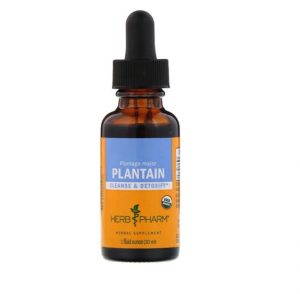 Plantain, 1oz - Herb Pharm
