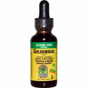 Goldenseal Root, Alcohol-Free Extract, 1 fl oz (30 ml) - Nature's Answer