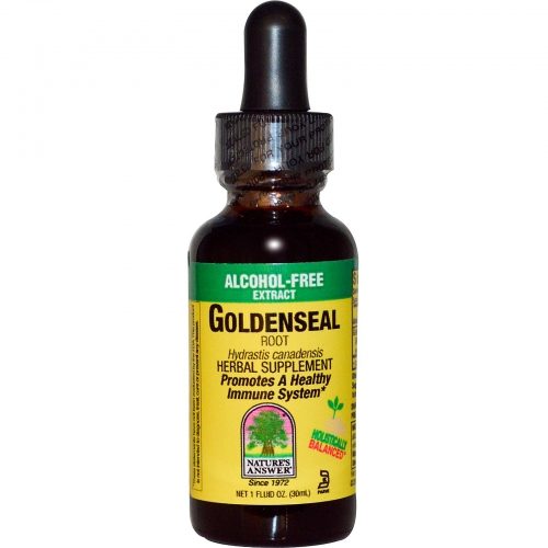 Goldenseal Root, Alcohol-Free Extract, 1 fl oz (30 ml) - Nature's Answer
