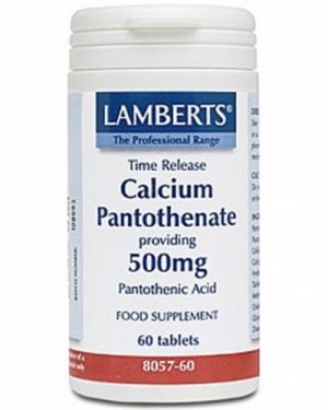 Calcium Pantothenate 500mg, 60 Tabs - Lamberts