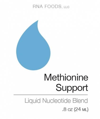 Methionine Support .8 oz (24ml) - Holistic Health - SOI**