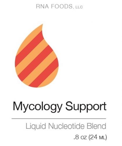 Mycology Support .8 oz (24ml) - Holistic Health