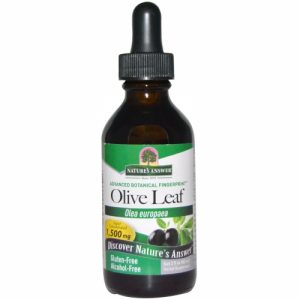 Olive Leaf, Alcohol-Free, 1,500 mg, 2 fl oz (60 ml) - Nature's Answer