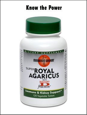 Super Royal Agaricus (Agaricus blazei Murill) 120 vtabs Mushroom Wisdom