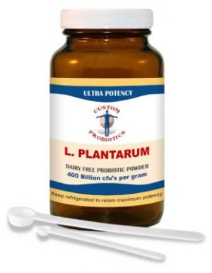 L. Plantarum Powder 100g - Custom Probiotics SOI*