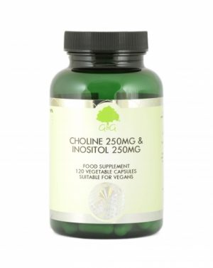Choline 250mg & Inositol 250mg 120 Capsules - G&G Vitamins (Currently Unavailable)