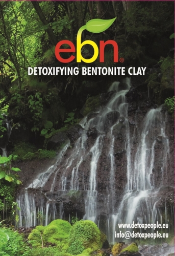 bentonite clay (2kg) - EBN Detoxifying Clay