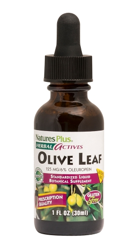 Olive Leaf, 1 fl oz (30ml) - Natures Plus