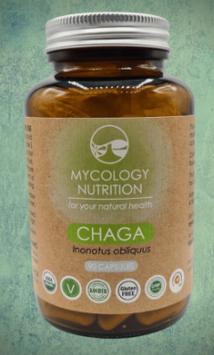 Chaga (Inonotus obliquus) 90's - Mycology Nutrition