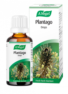 Plantago Drops 50ml - A Vogel