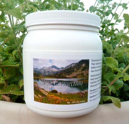 Tub of Silica Connection Diatomaceous Earth, 16oz - Perma Guard - SOI* with fresh green mint in the background.