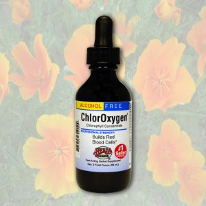 ChlorOxygen, Chlorophyll Concentrate (Alcohol Free) 59 ml – Herbs Etc.