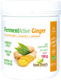 FermentActive Ginger, 150 g - New Roots Herbal