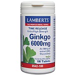Ginkgo 6000mg (180 tablets) - Lamberts