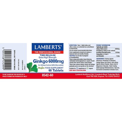 Ginkgo 6000mg (60 tablets) - Lamberts